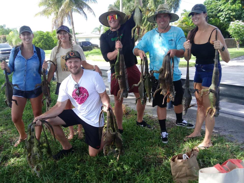 Florida: 1 Day Iguana Hunt & Peacock Bass Fishing Combo for 3 people.