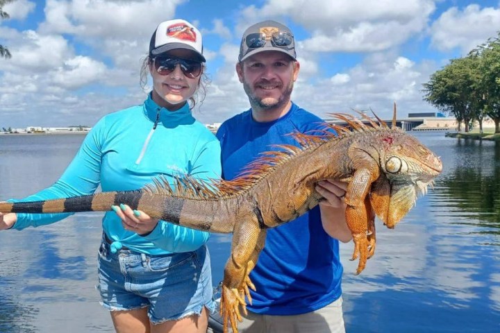 a person holding an animal in a body of water