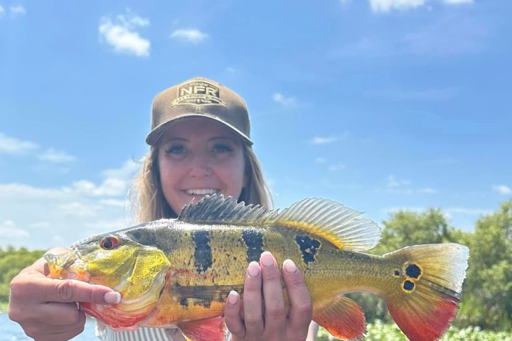 a person holding a fish in the water