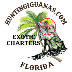 Hunting Iguanas Florida LLC
