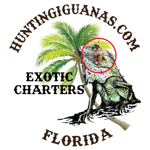 a close up of a book