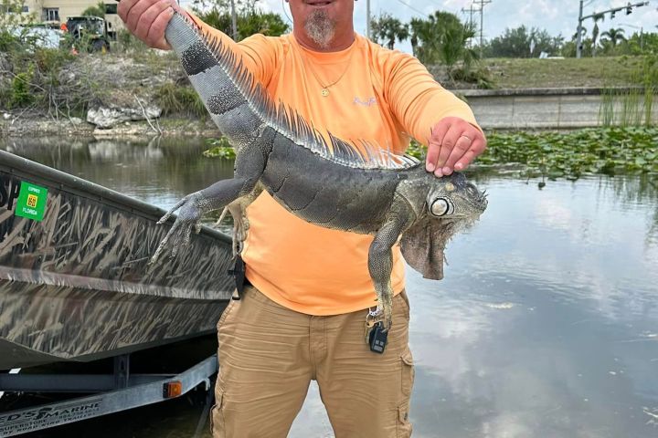 a man holding a fish in the water