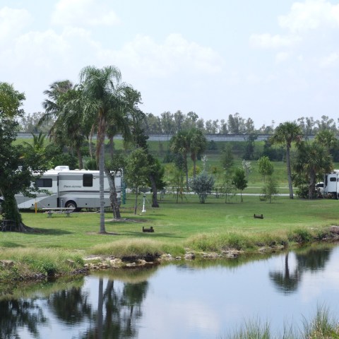 Two RVs parked on grassy field with palm trees near a small pond under a clear sky.